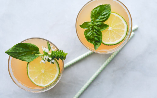 Grapefruit+gin+punch+640x400 (1).png