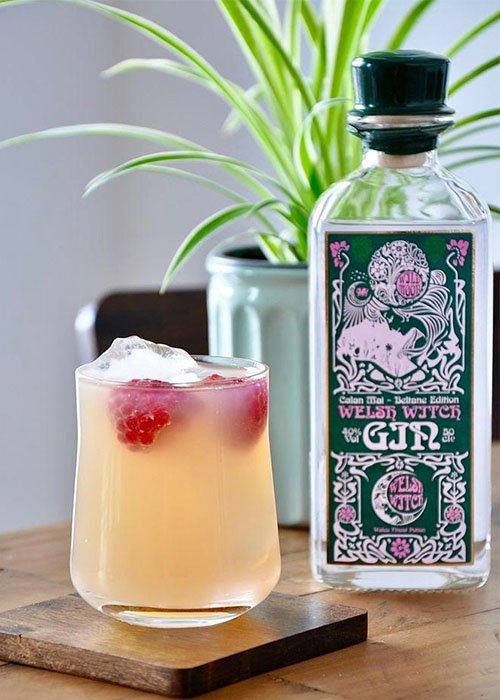 Orange and gin cocktail with raspberry garnish
