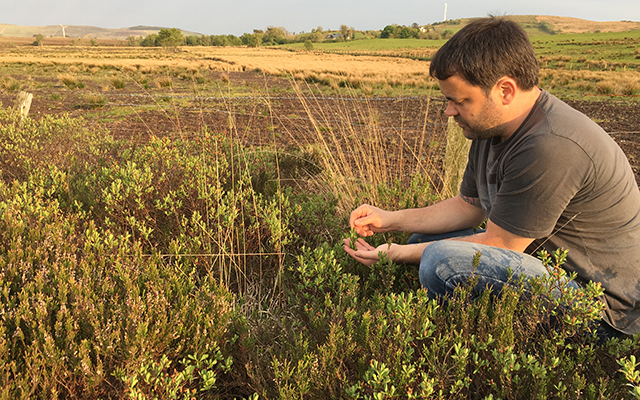 Joe McGirr picking botanicals for Boatyard gin