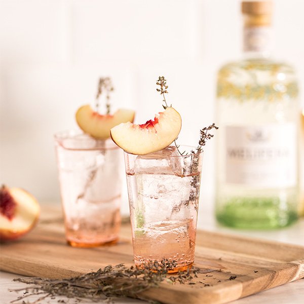 Gin and tonic with garnish