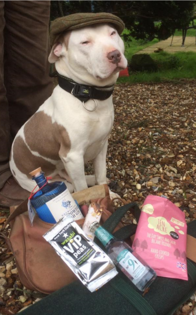 ginstagram runner up dog in hat with gin box in wood
