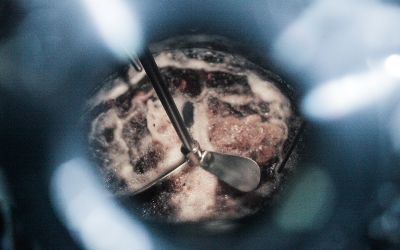gin distilling in Sally blackwater