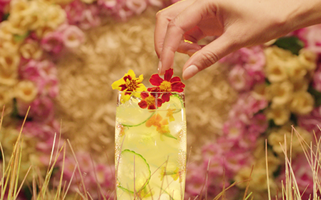 gin+collins+cocktail.png