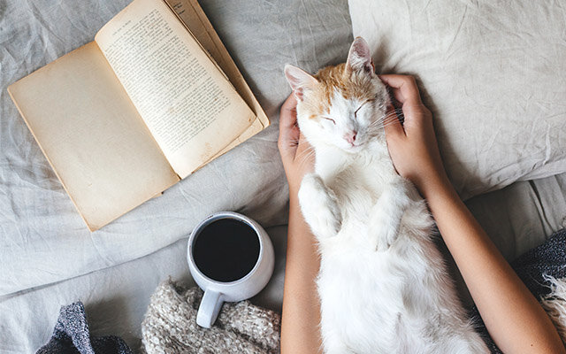 Comfy Reading