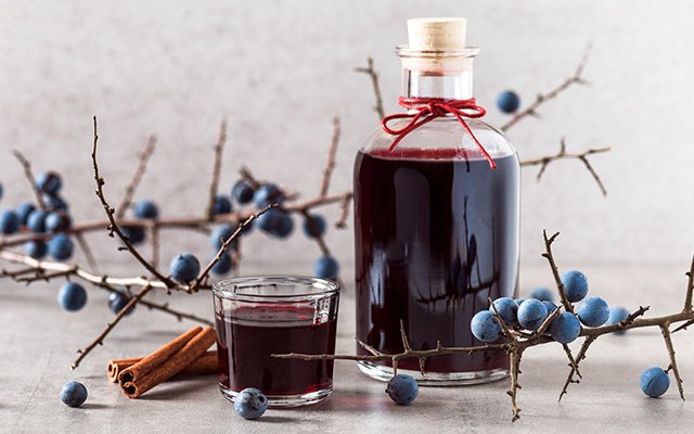Sloe Gin Cocktails