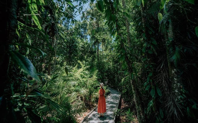 The Daintree Rainforest, Cairns & Great Barrier Reef Region