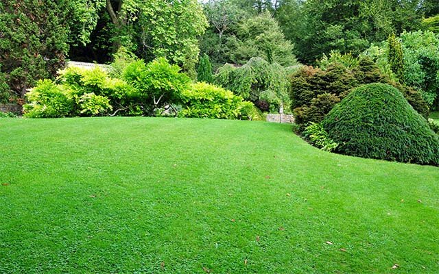 Summer Garden Party Lawn.jpg