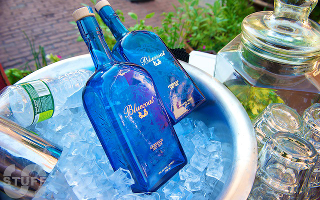 bluecoat gin