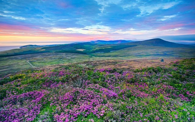 The wilderness of the Isle of Man