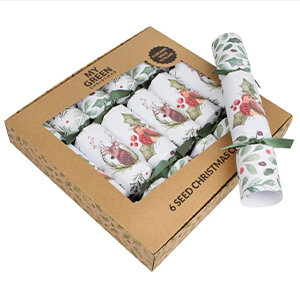Christmas crackers with seeds in