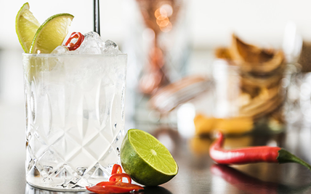 gin and tonic garnished with chilli and lime