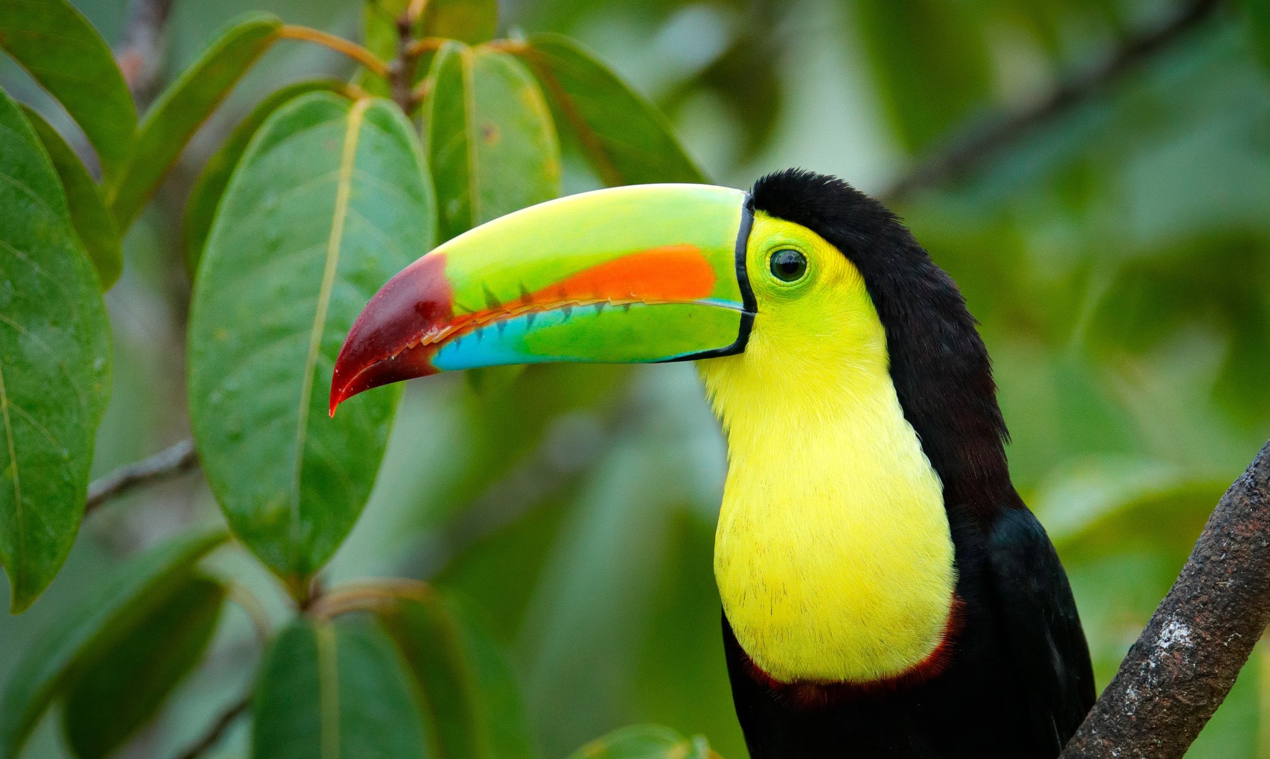 shutterstock_1039455205.jpg