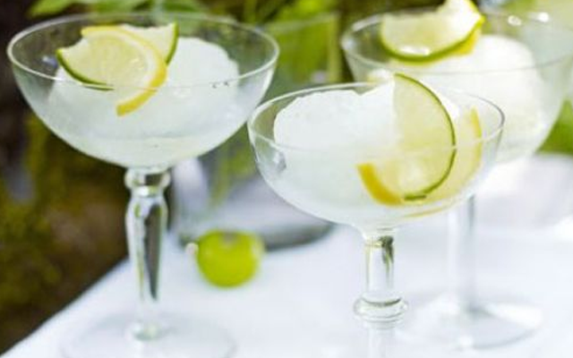 gin+and+elderflower+sorbet.png