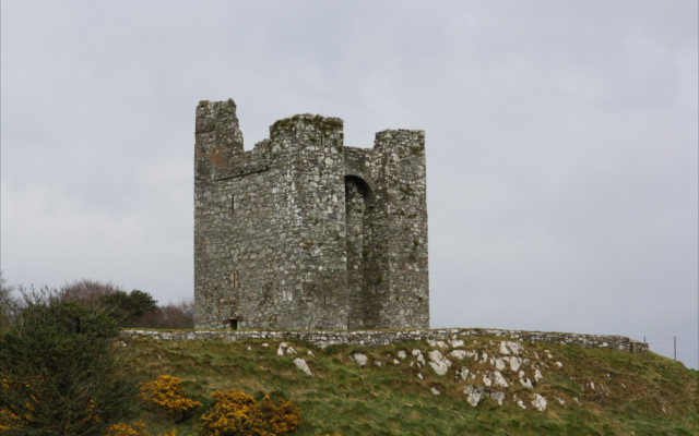 audleys field strangford lough