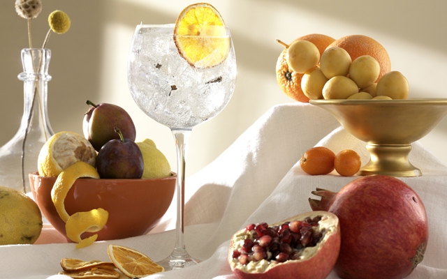 gin+1689+perfect+gin+and+tonic.jpg