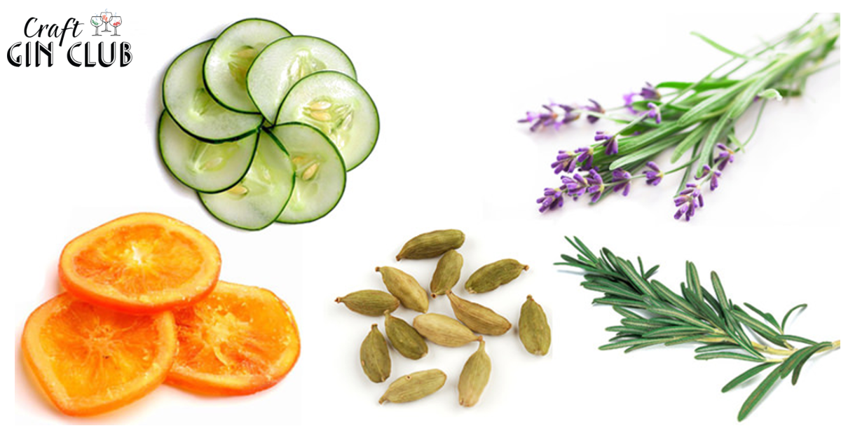 Gin tonic garnishes