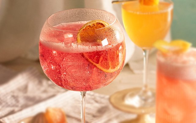 Damson Gin & Tonic Recipe