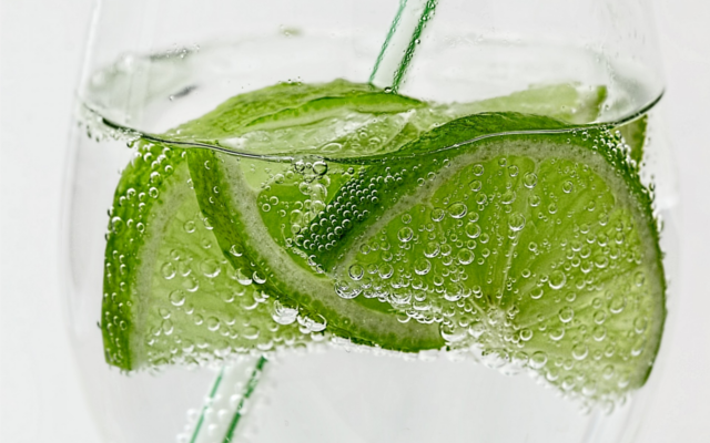 gin and tonic delicious
