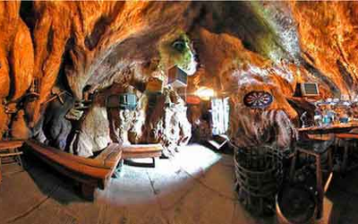 speakeasy tree africa