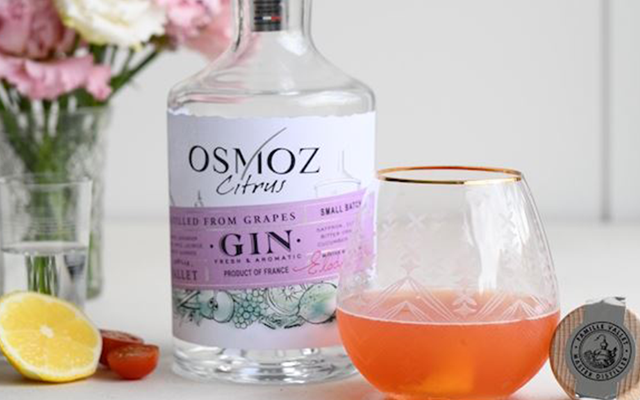 tomatini+gin+cocktail+with+osmoz+gin.png