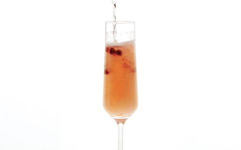 forager's fizz