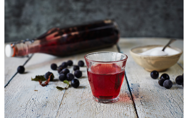 Homemade sloe gin