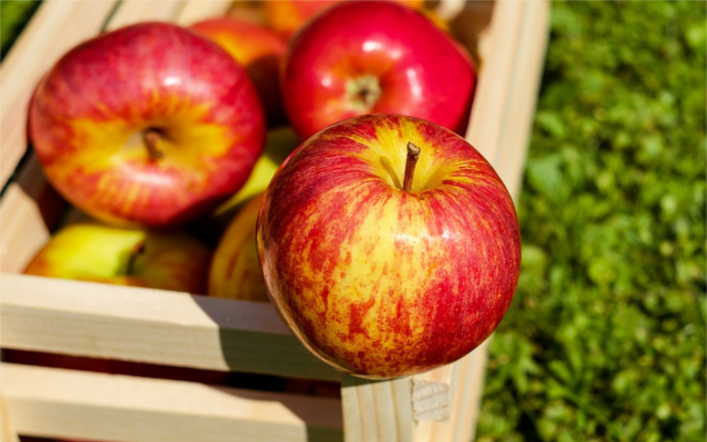 Apples in fruit boz