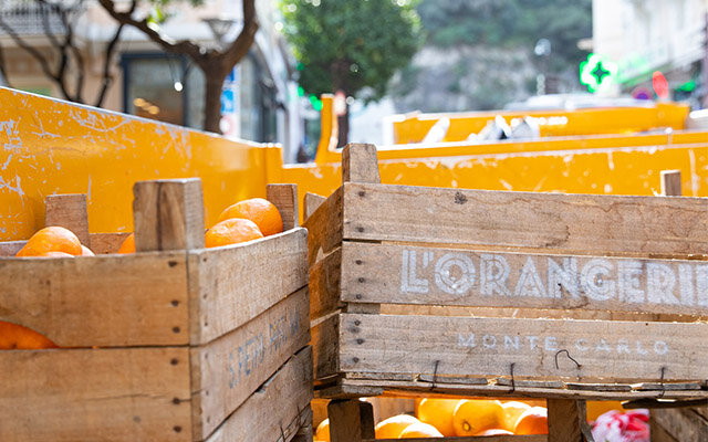 Oranges collected ready to be taken to L’Orangerie.