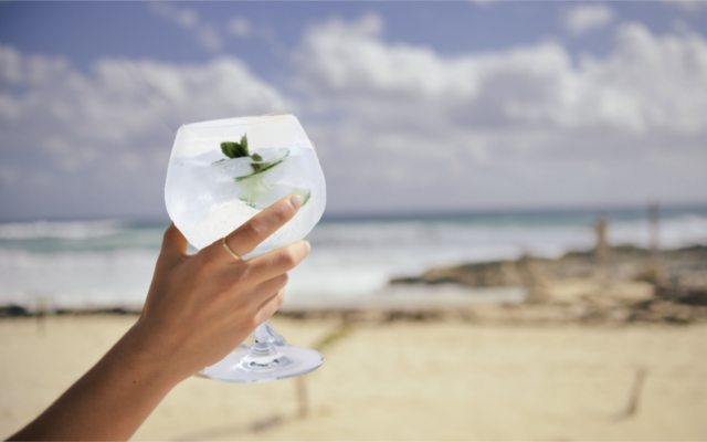 Gin and tonic at the beach for gin cruise