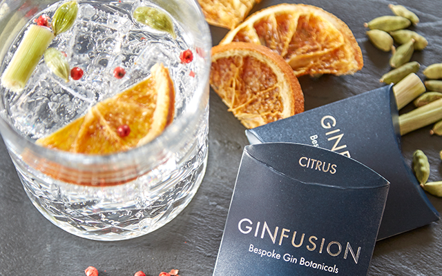 Citrus Ginfusion dried botanicals and gin and tonic