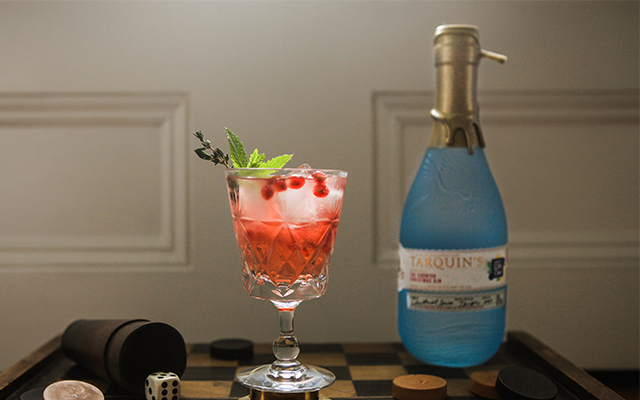 Quick+gin+punch+recipe.png