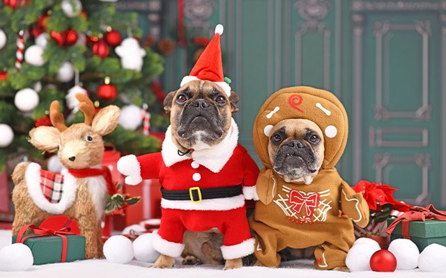 Christmas costume
