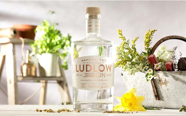 Ludlow Elderflower Chamomile Lemon Verbena Gin No 5.jpg