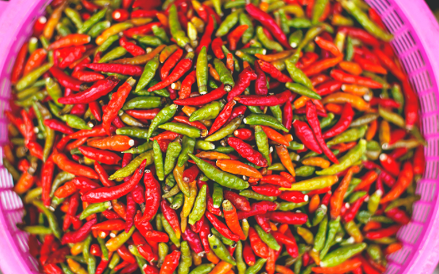 Basket of green and red chillis