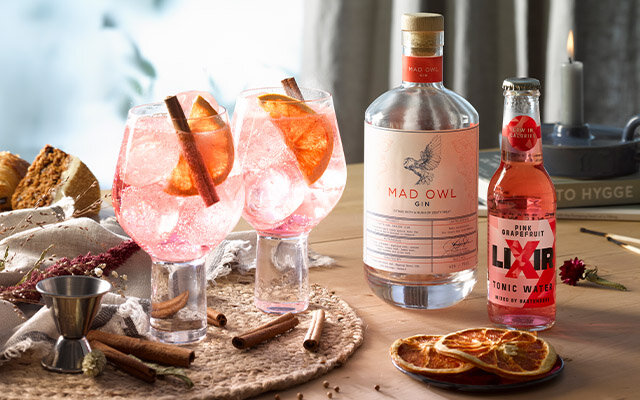 Craft Gin Club's November 2021 Perfect G&T ingredients, Mad Owl Special Edition Gin and Lixir Ginger Beer.jpg