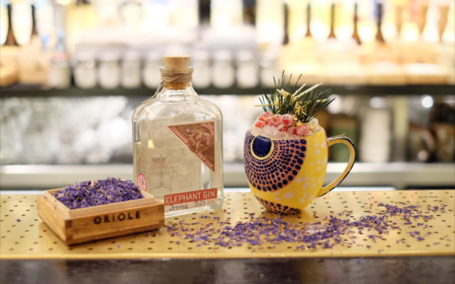 oriole elephant gin invention