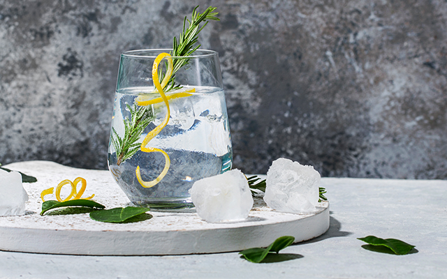 classic-gin-tonic-lemon-twist.jpg