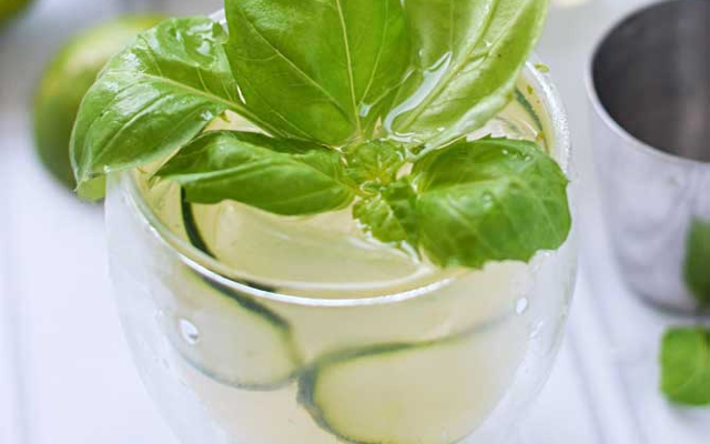 basil+and+cucumber+gin.png