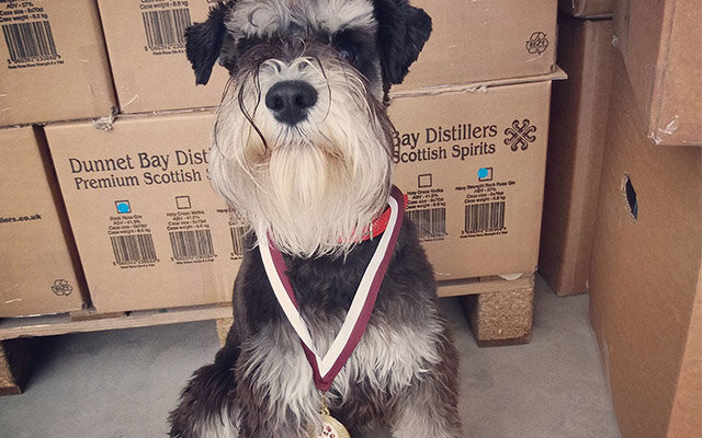Mr. M medal 640x400.jpg