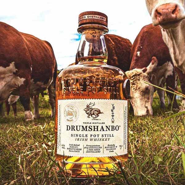 Drumshambo Single Pot Still Irish Whiskey