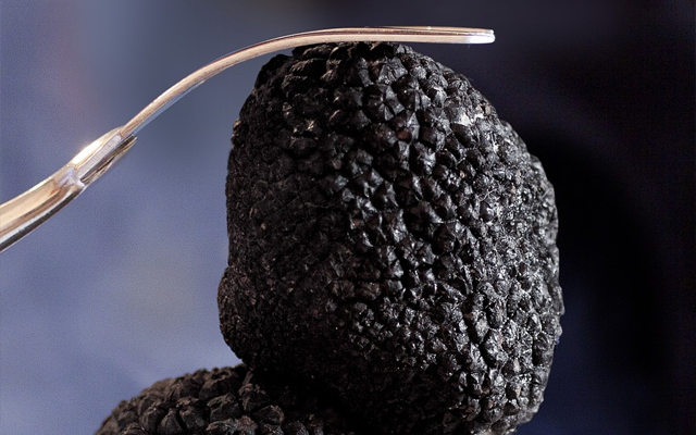 Black Truffle