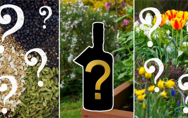 Botanicals and guess gin of the month flower garden