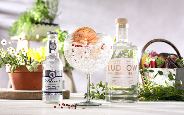 PERFECT G&T RECIPE .jpg