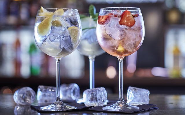 Gin and tonic with large ice cubes and fruit garnishes