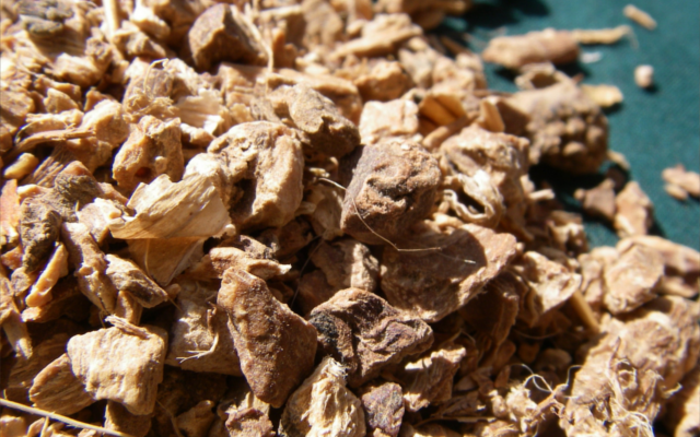 Orris root