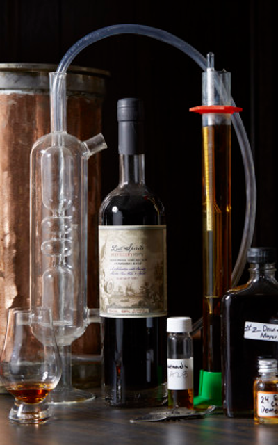 aging spirits in a virtual time machine