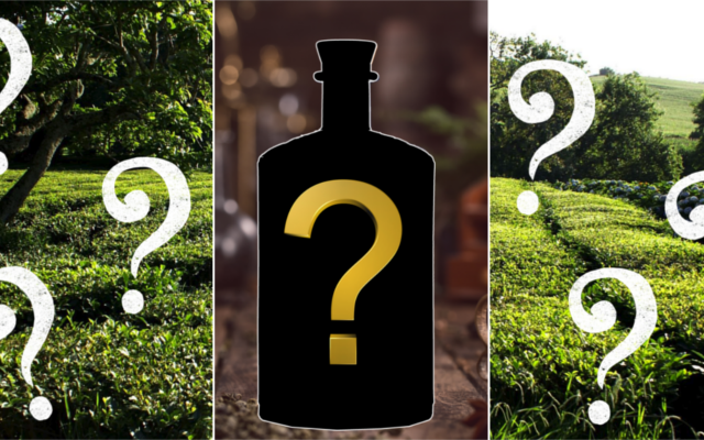 March CRaft Gin Club spoiler alert