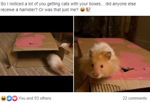 image+%2832%29.jpg