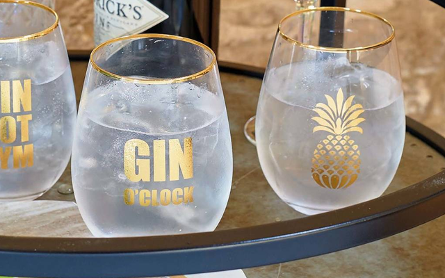 not+on+the+highstreet+gin+glasses (1).png