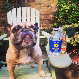 craft+gin+pup+3.jpg